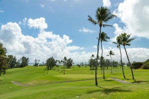 Waiehu Country Club Green and Cart Path Maui