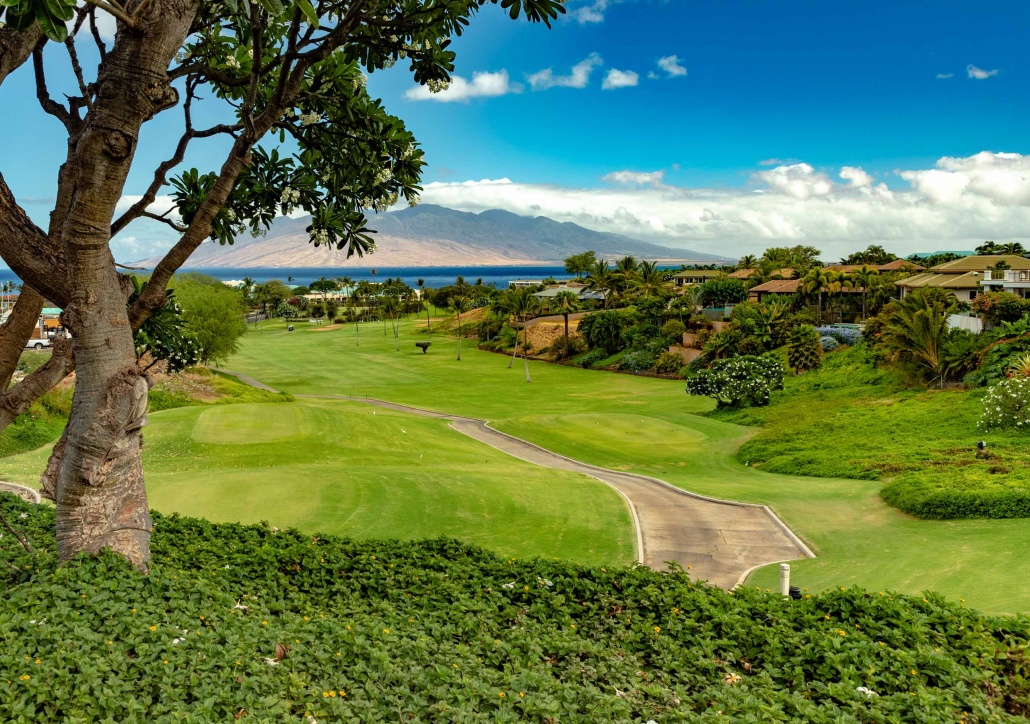 Wailea Blue Course Maui