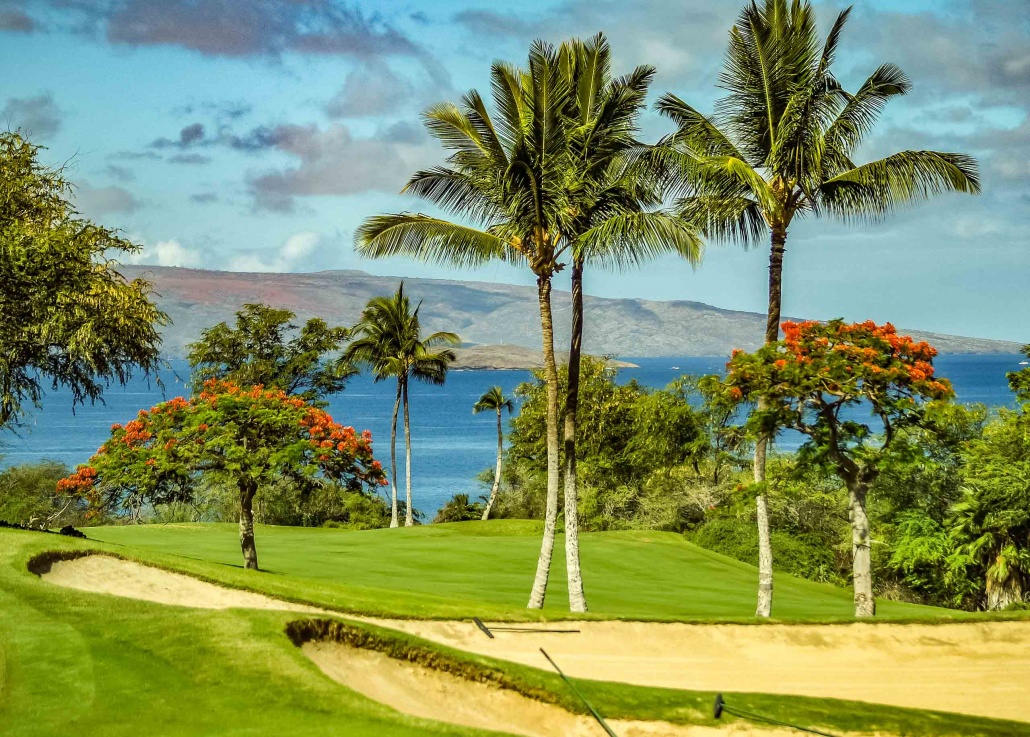 Wailea Emerald Golf Course Coastal Views Maui