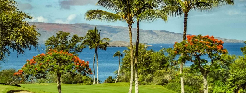 Wailea Emerald Golf Course Coastal Views Maui