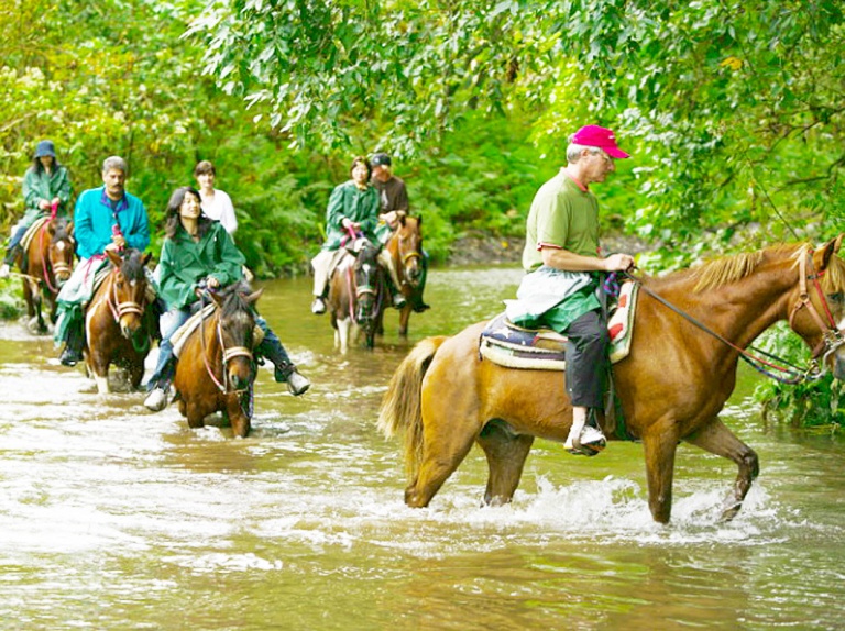 a relaxing  hour horseback ride big island waipio on horseback