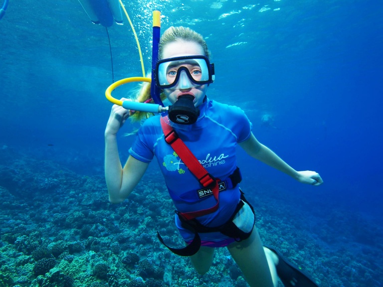 afternoon maui snorkel tour four winds maui