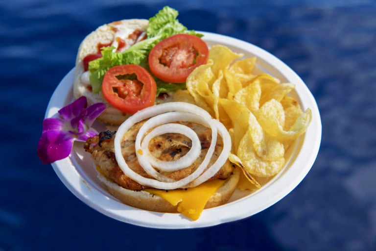 afternoon snorkel tour to coral gardens bbq lunch