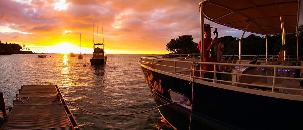 Big Island Night Manta Ray Snorkel Sunset Departure