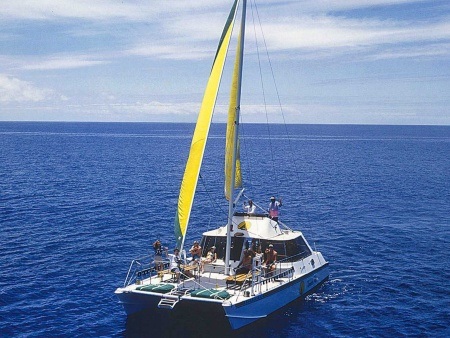 Bikehawaii Diamond Head Sail And Snorkel Sail
