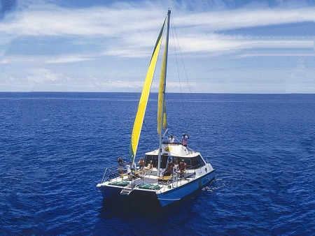 Bikehawaii Diamond Head Sail And Snorkel Sail Product