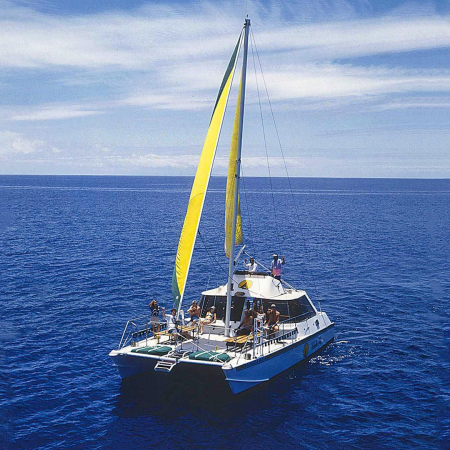 Bikehawaii Diamond Head Sail And Snorkel Sail Product