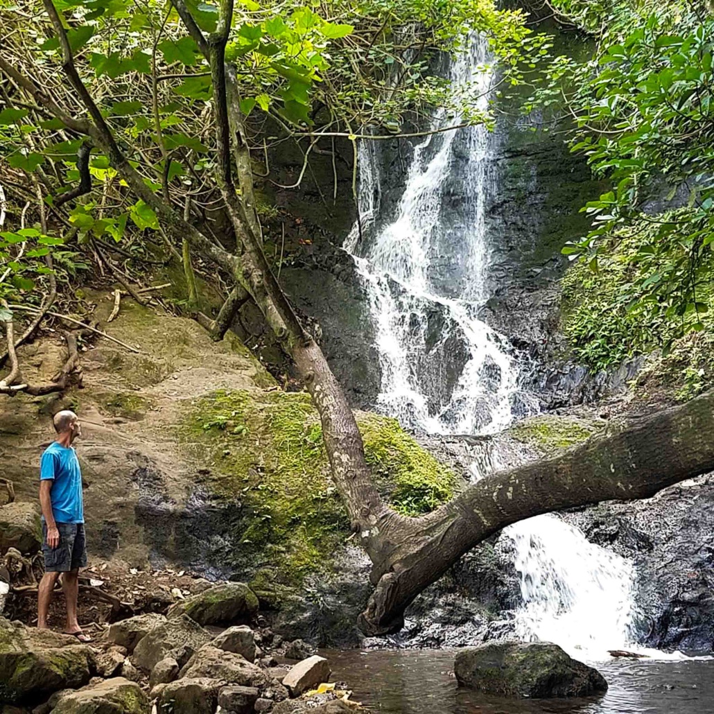 Bikehawaiitours Hawaiian Waterfall Hike Tour A Man And Waterfall