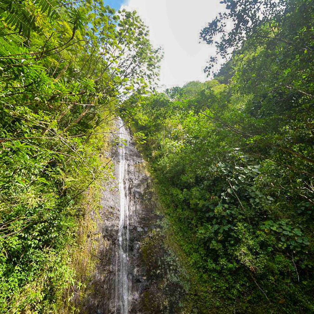 Bikehawaiitours Hawaiian Waterfall Hike Tour Majestic Waterfall