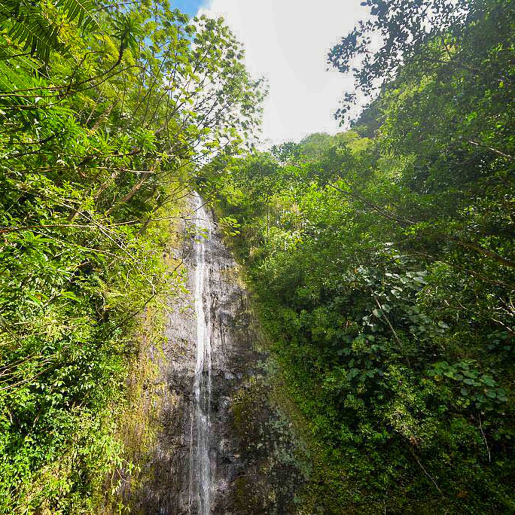 Ko'olau Waterfall Hike | Oahu Hiking Trips | Hawaii Tours
