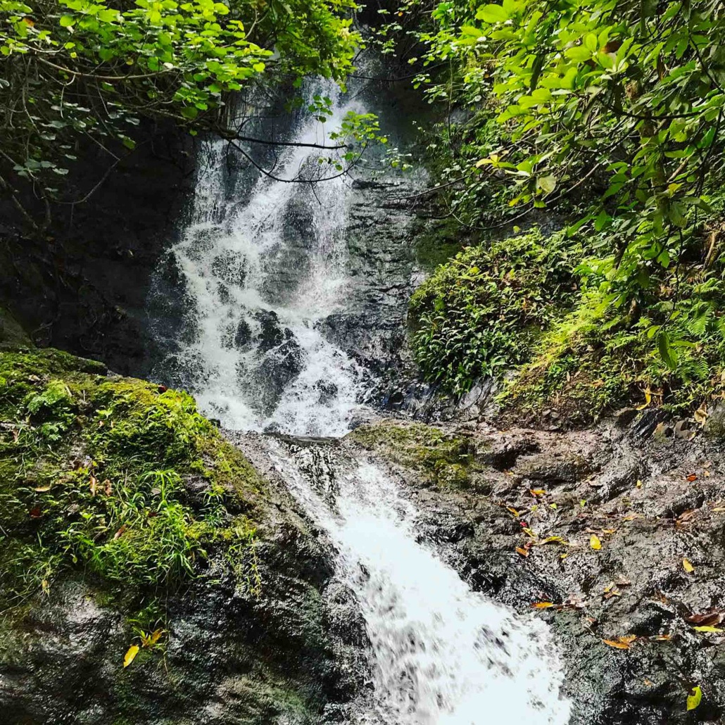 Bikehawaiitours Hawaiian Waterfall Hike Tour Overview