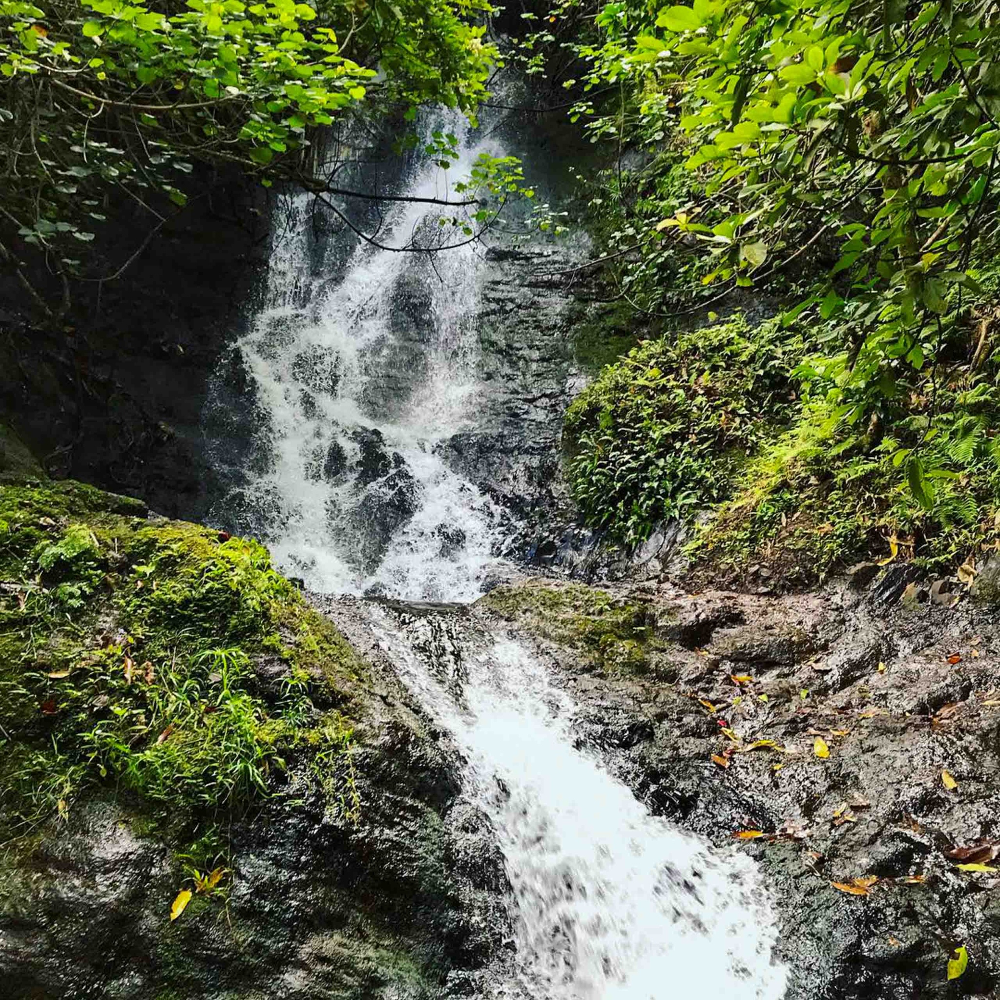 Ko'olau Waterfall Hike | Oahu Hiking Trips | Hawaii Tours