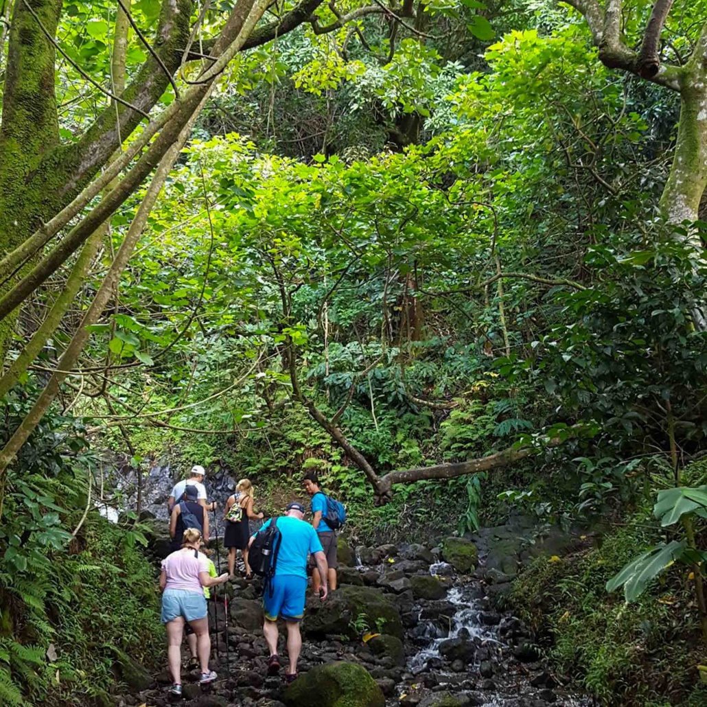 Bikehawaiitours Hawaiian Waterfall Hike Tour Visitors Hiking