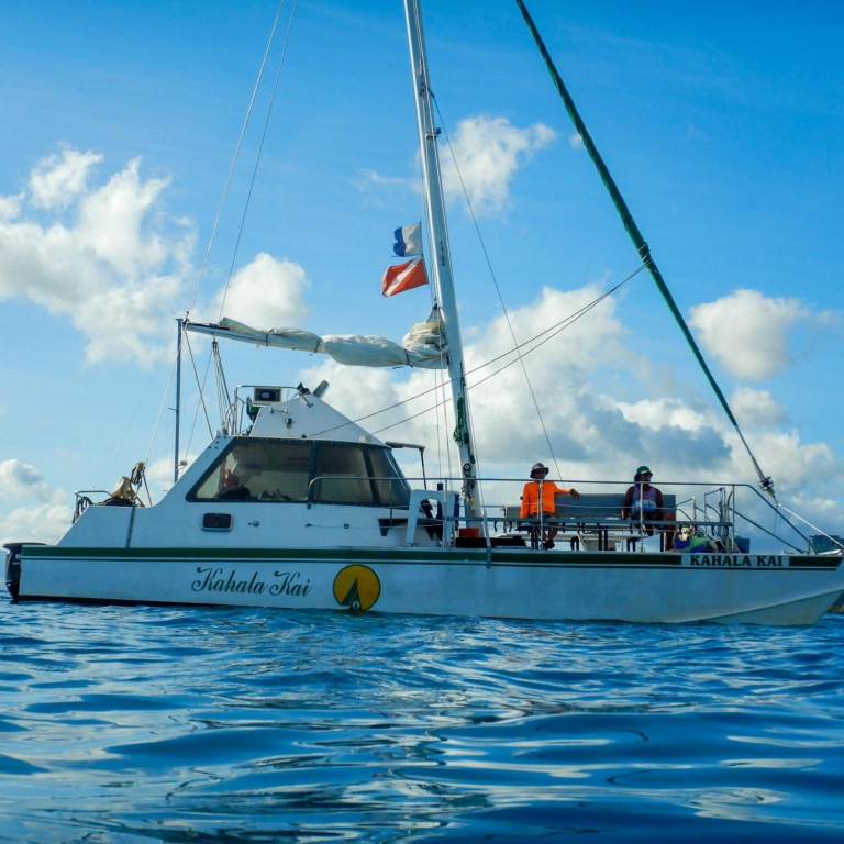 Bikehawaiitours Waikiki Sunset Sail And Pupu Tour Blue Ocean Boat