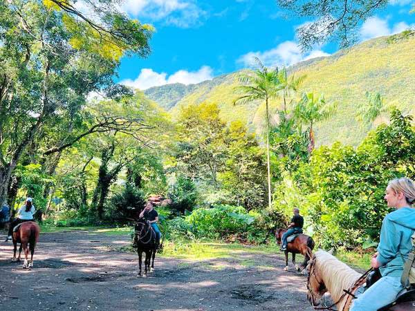 enjoy the spectacle of a guided excursion into the legendary waipio valley waipio on horseback