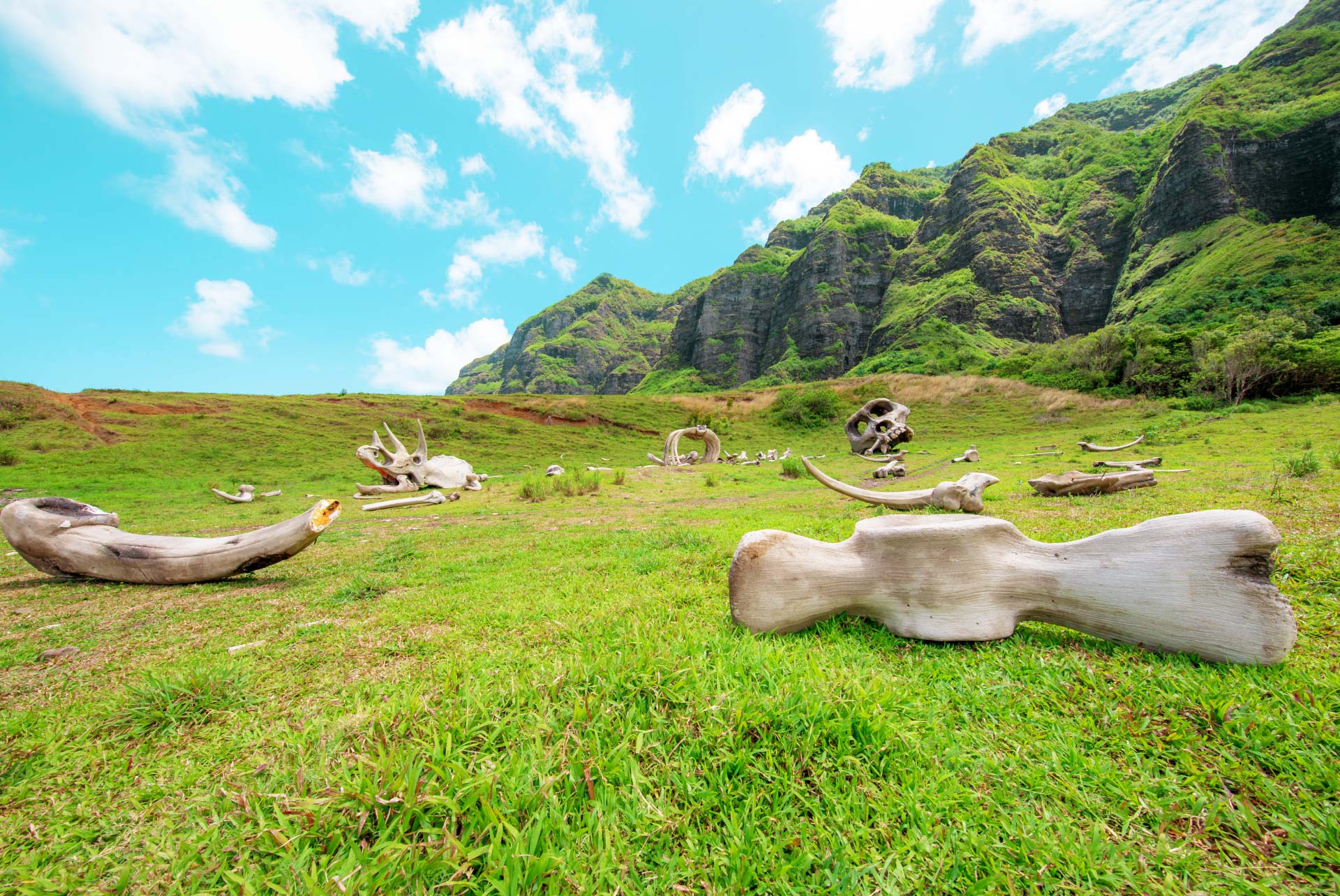 Hollywood Movie Sites & Ranch Tour Hawaii Tours and Activities