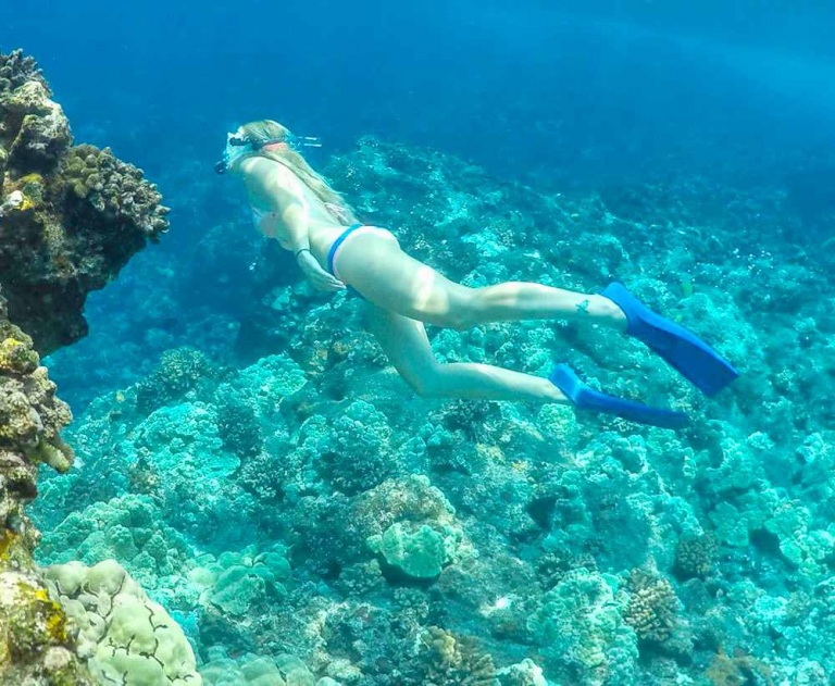 fair wind kona coast snorkel tour hula kai snorkeler
