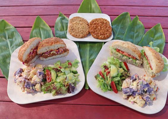 Fairwind Kona Coast Snokel Tour Slider Fresh Salad