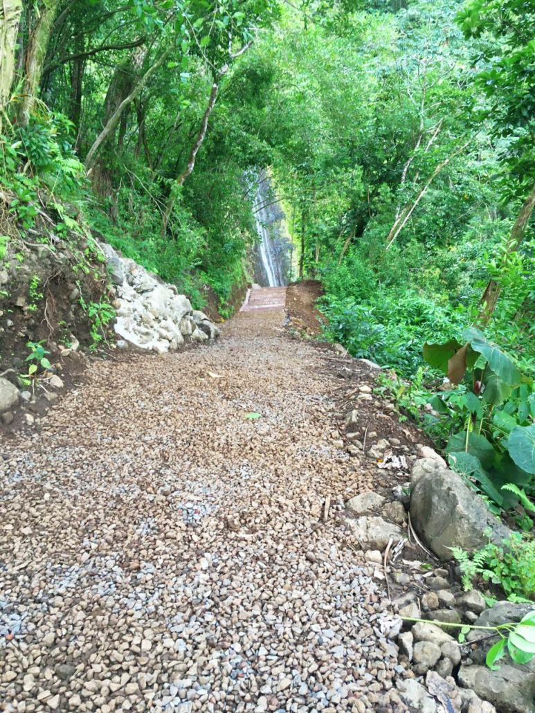 Foothpath Leading to the Waterfall Hawaiian Waterfall Hike Tour