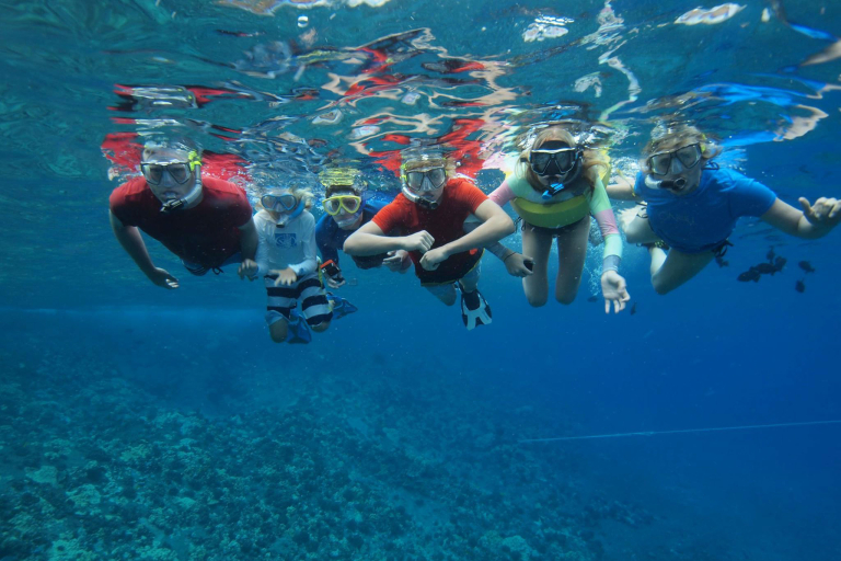 Fourwindsmaui Molokini Am Snorkel Tour Feature Snorkel