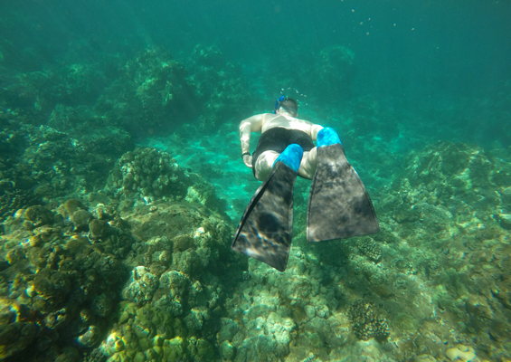 Fourwindsmaui Molokini Am Snorkel Tour Slider Man Snorkel