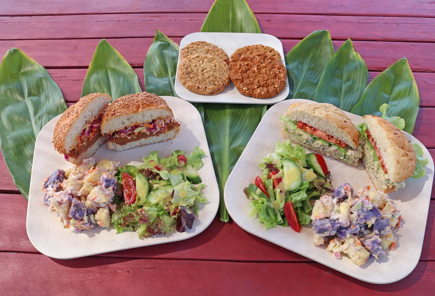 Fresh Salad and Cookies Snorkel Tour