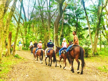 fun horsing big island waipio on horseback