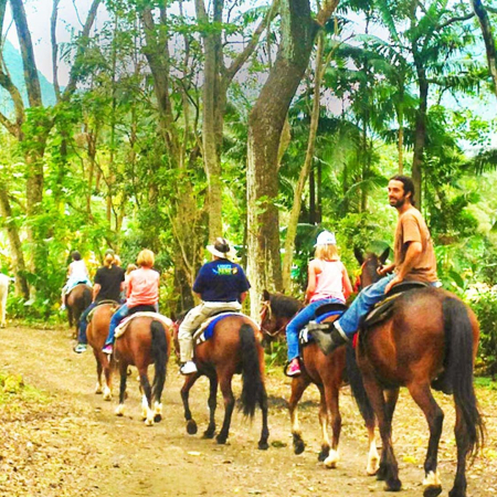 Fun Horsing Big Island Waipio On Horseback Product