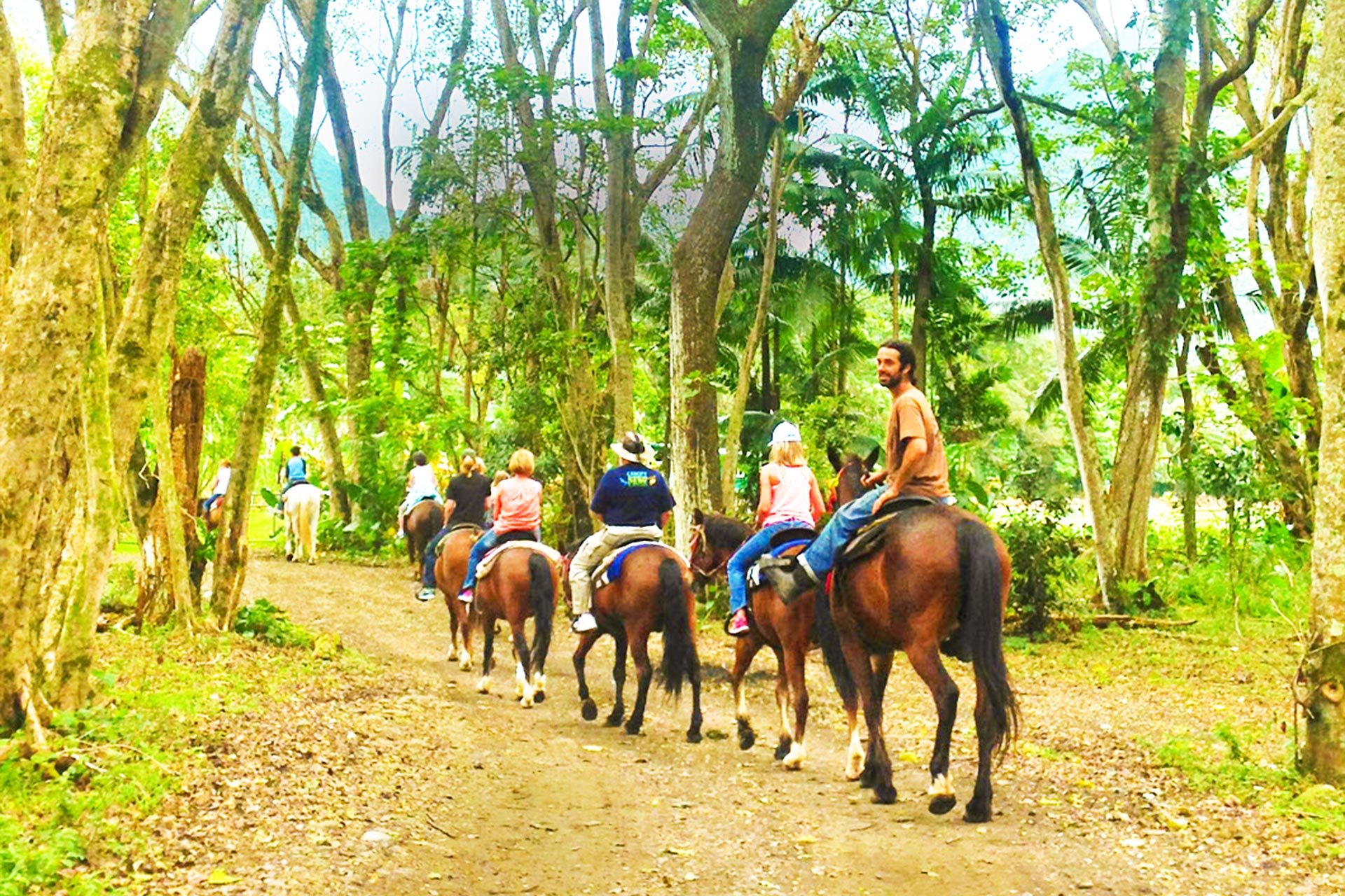 fun horsing big island waipio on horseback