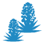 Native plants and wildlife