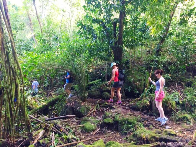 hawaiian waterfall rainforest hiker