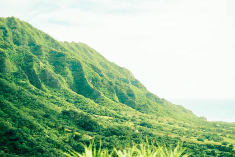 Jungle Expedition Views From Kaaawa Valley Kualoa Ranch Oahu Oahu Product Images