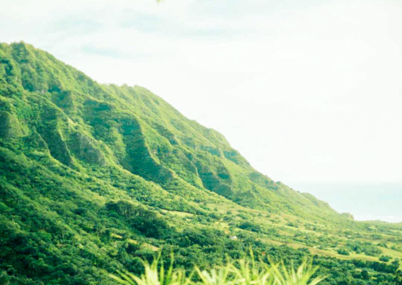 Jungle Expedition Views From Kaaawa Valley Kualoa Ranch Oahu Slider