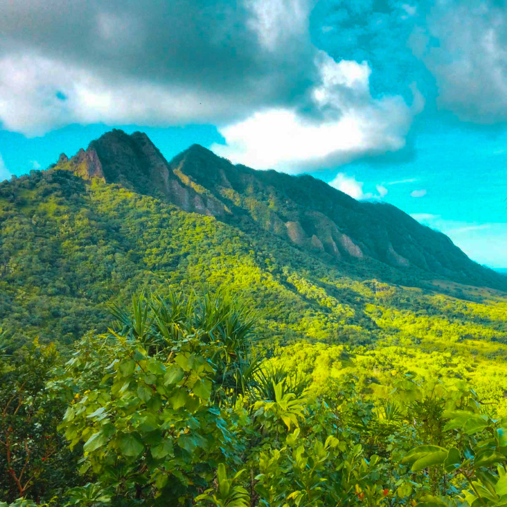 Jungle Expedition Visit Famous Movie Sites Kualoa Ranch Oahu