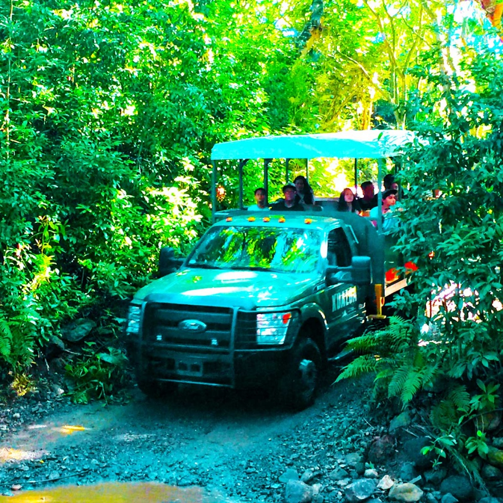 jurassic jungle jeep expedition at kualoa ranch oahu hawaii