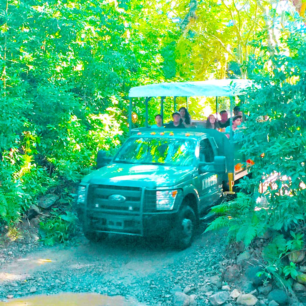 jurassic jungle jeep expedition at kualoa ranch oahu