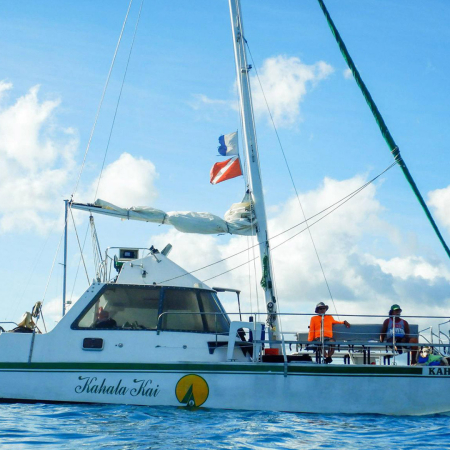 Kahala Kai Cruise Waikiki Sunset Sail And Pupu Product