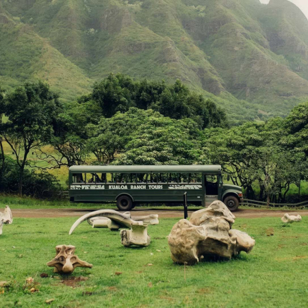 Kualoa Hollywood Movie Sites Tour Unforgettable Experience Bus