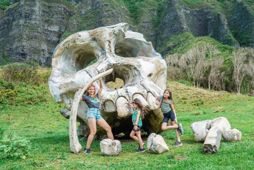 Kualoa Hollywood Movie Sites Tour Visit Jurassic Valley Big Skull