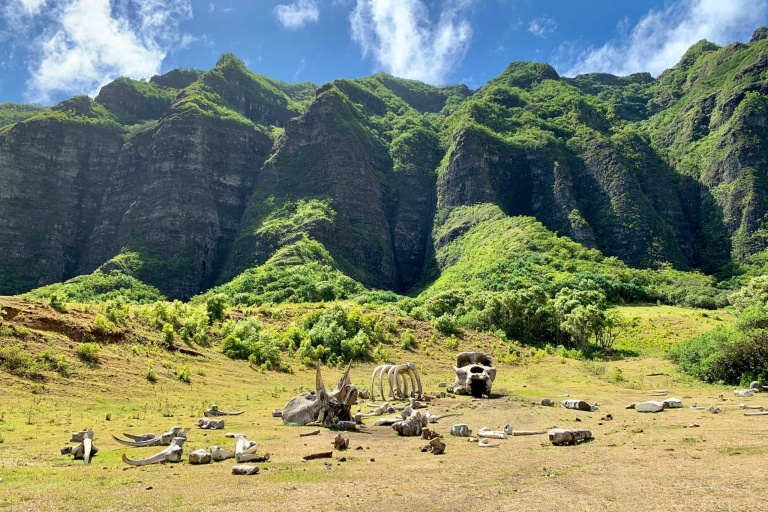Kualoa Jurassic Valley Adventure Mountain Valley