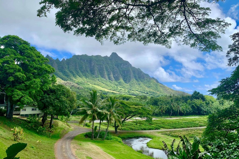 Kualoa Jurassic Valley Adventure Visit The Iconic Valley
