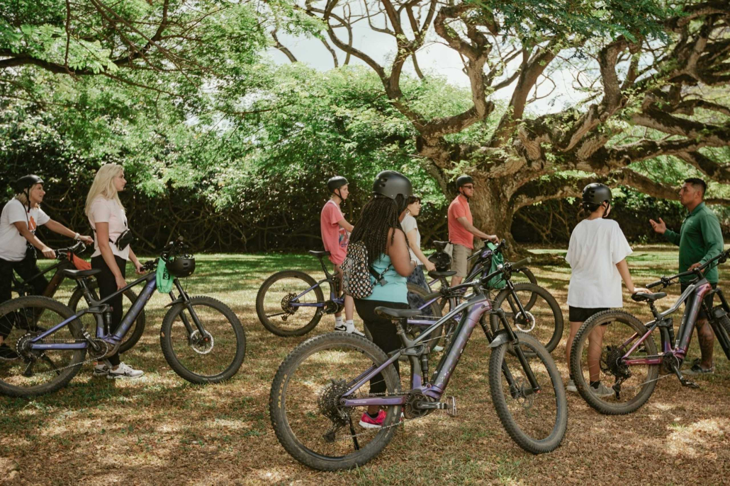 Kualoa Jurassic Valley E Mountain Bike Explore The Trails Under Big Tree