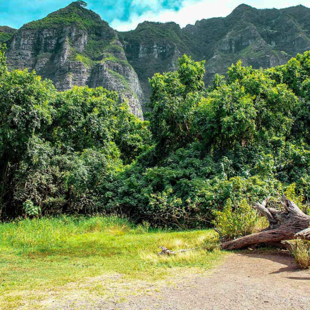 Kualoa Ranch Jurassic Park Oahu Hawaii Product