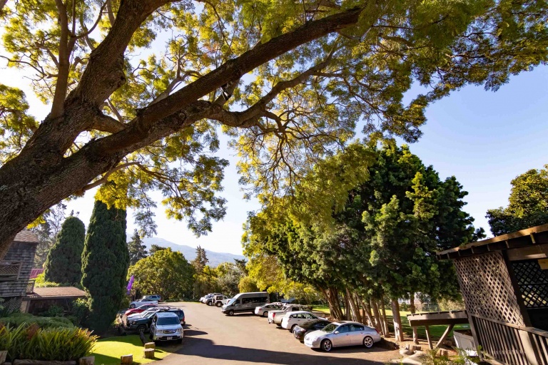 Kula Parking Upcountry Maui Tour