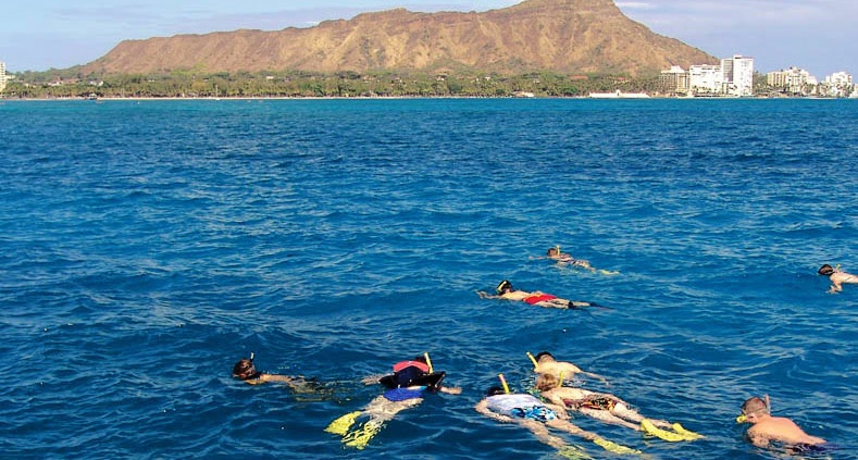 Snorkel In Crystal Clear Water Diamond Head Sail and Snorkel