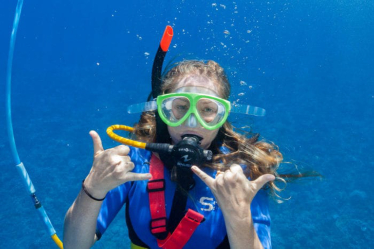 Snorkeler Maui Maui Classic Charters