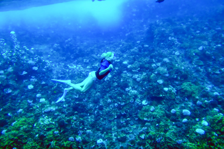 Snorkeling In Molokini Crater Maui Hawaii 