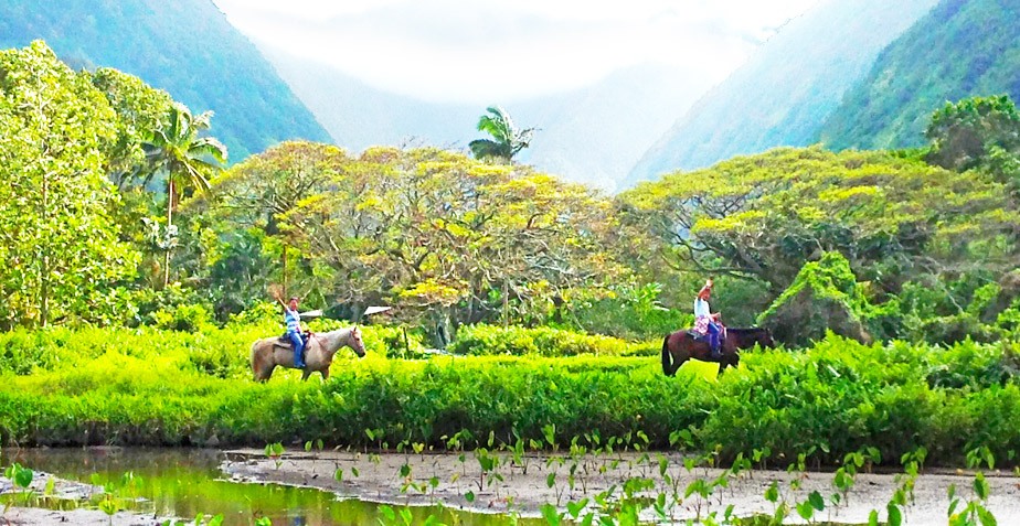 spectacular views of waipio big island waipio on horseback