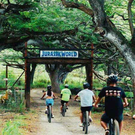 Take A Ride Through Jurassic World E Bike Tour Kualoa Product