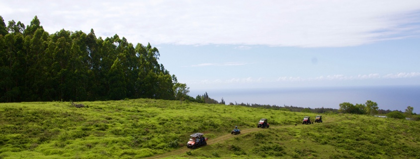 utvs-along-the-horseback-ranch Utvs along the Horseback Ranch